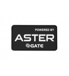 Gate Patch Aster