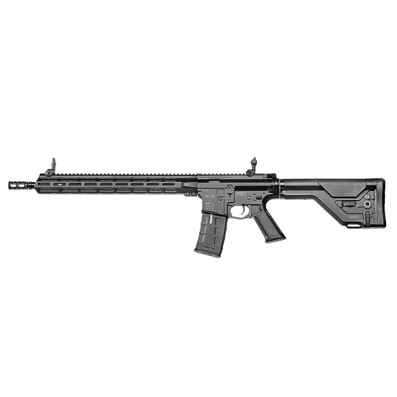 ICS CXP MMR DMR BK 300BBs 1.2J