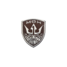 ACM Patch Brodé MOH Tan/Gris Type:3