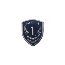 ACM Patch Brodé MOH Bk/Gris Type:5