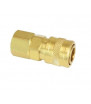 BalystiK Coupleur 1/8 NPT Femelle - (US Version)